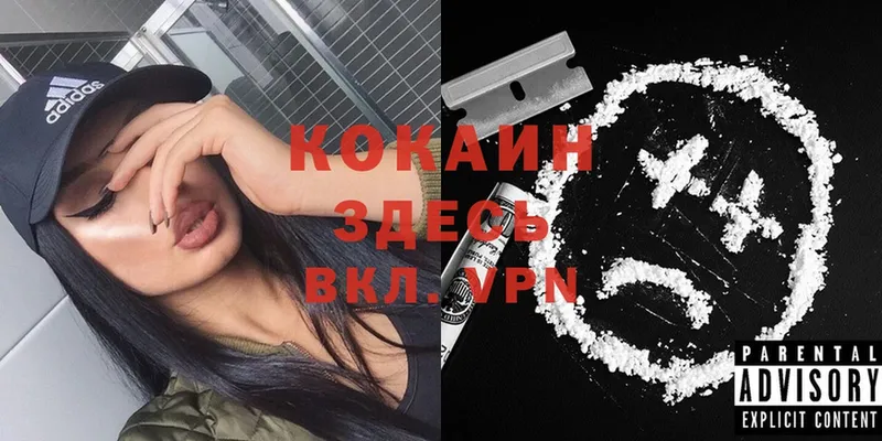 Cocaine FishScale  mega маркетплейс  дарк нет формула  Мурино 